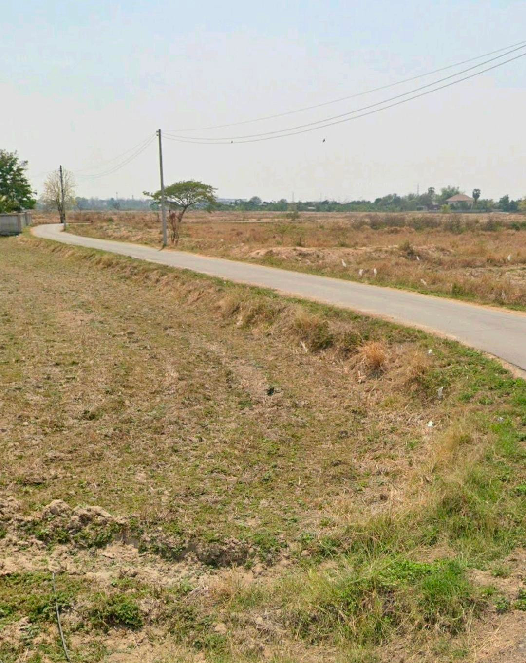 Land for rent – รูปที่ 4