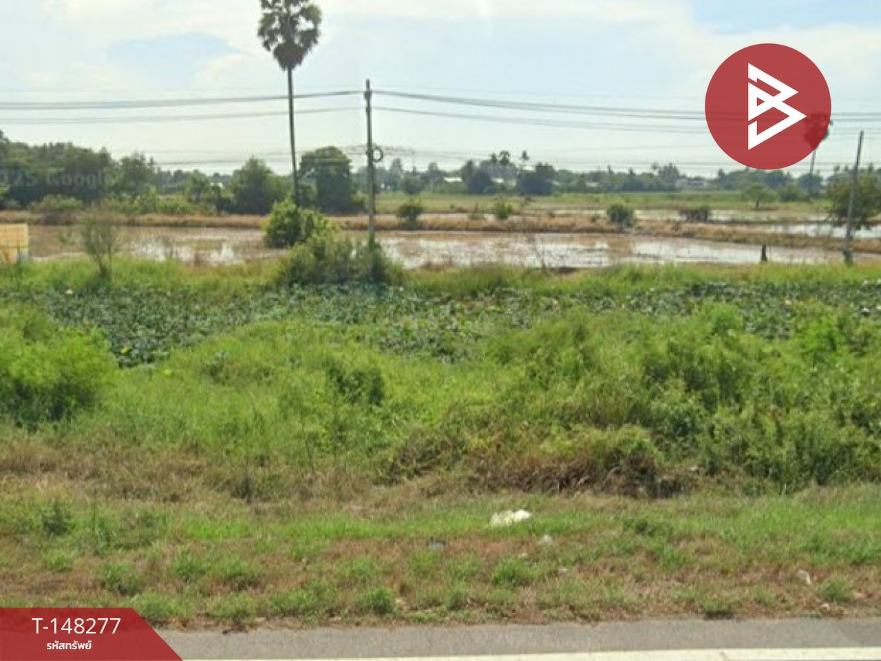  ขายที่ดิน เนื้อที่ 13 ไร่ 3 งาน 71 ตร.วา ไชโย อ่างทอง – รูปที่ 2