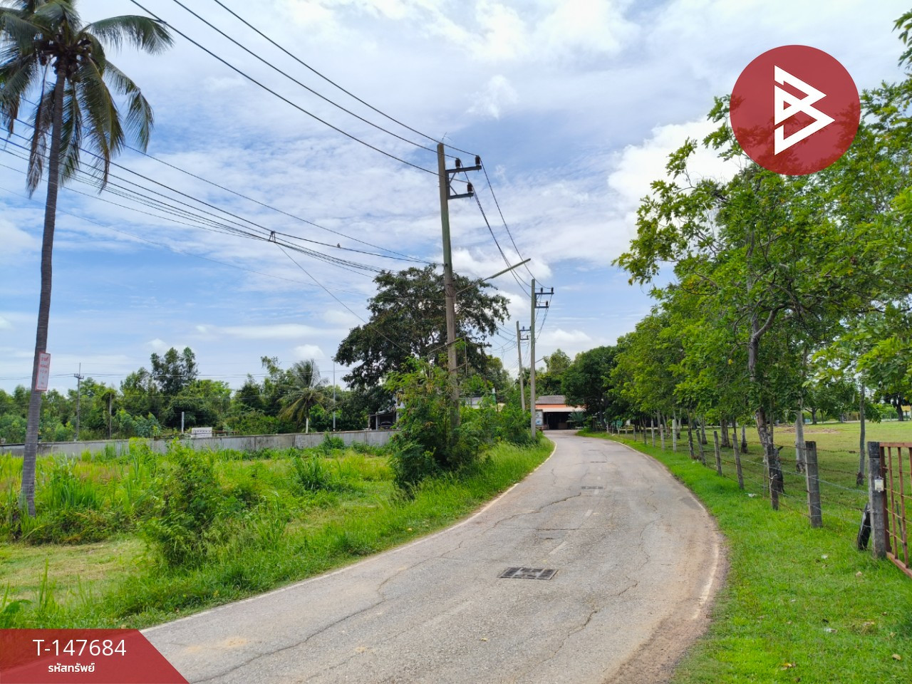 ขายที่ดิน เนื้อที่ 1 ไร่ 2 งาน 1 ตารางวา ประโคนชัย บุรีรัมย์ – รูปที่ 3
