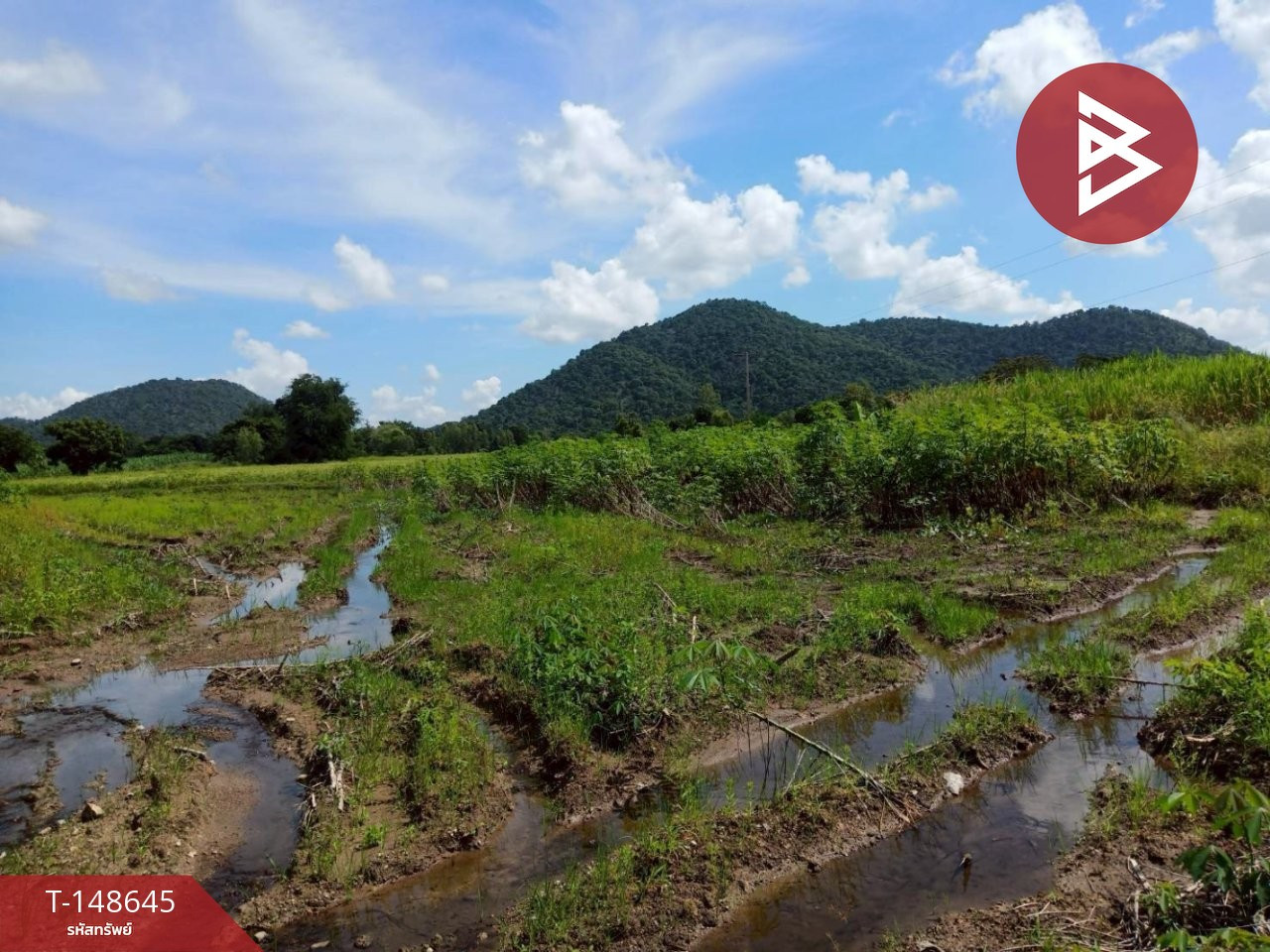 ขายที่ดิน เนื้อที่ 5 ไร่ 75 ตร.วา พยุหะคีรี นครสวรรค์ – รูปที่ 3