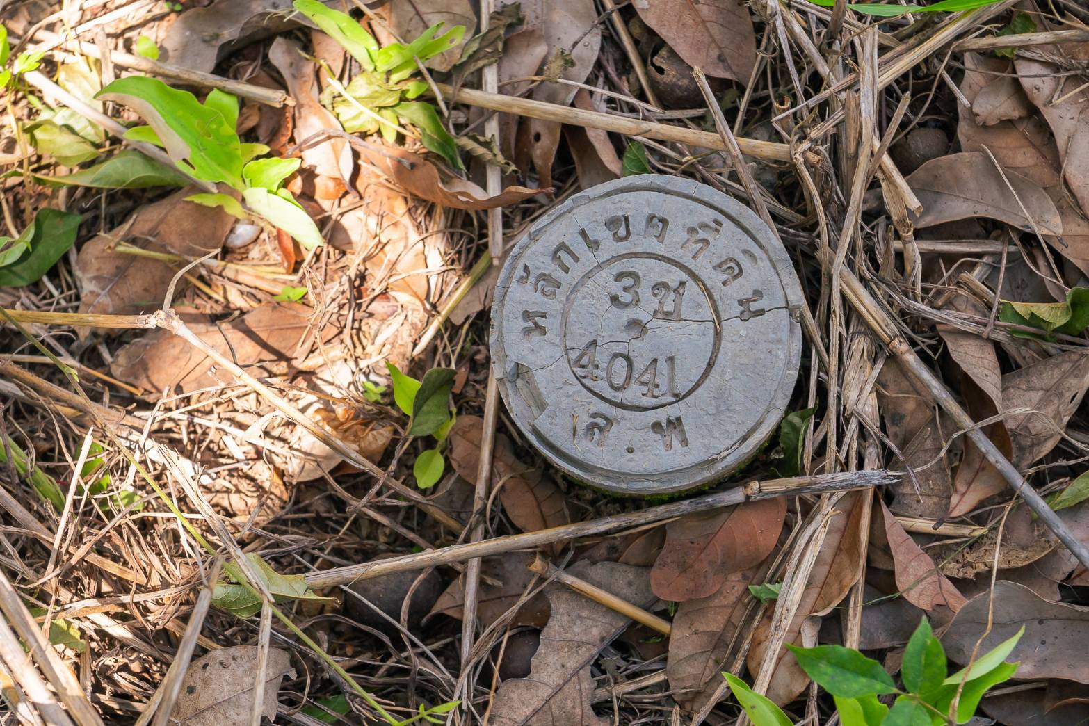 Longan orchard land for sale in Pa Phai Subdistrict, Li District, Lamphun Province. Price: only 690 THB/sq.wa. 🌳🏔️ – รูปที่ 2