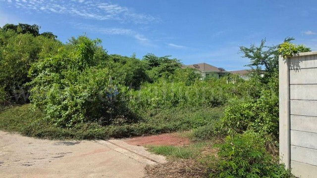 ที่ดินเปล่า ถมแล้ว 243.2 ตร.ว. ซอยบางกระดี่ 1 แยก 9-2 ติดทางด่วนพระราม2 แสมดำ – รูปที่ 4