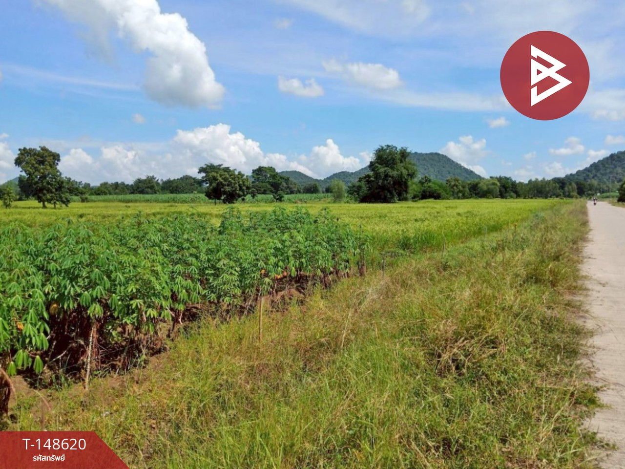 ขายที่ดิน เนื้อที่ 2 ไร่ 1 งาน 71 ตร.วา พยุหะคีรี นครสวรรค์ – รูปที่ 3
