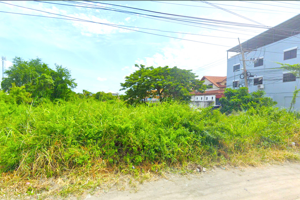 ขาย ที่ดิน ริมถนนชัยพฤกษ์ บางละมุง ชลบุรี 3 ไร่ 7.3 ตรว ใกล้หาดจอมเทียน เพียง 800 เมตร – รูปที่ 4