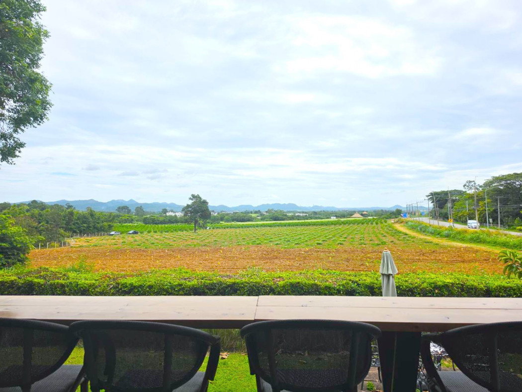 ขาย ที่ดิน พร้อมธุรกิจร้านกาแฟ เขาใหญ่ ต.หมูสี อ.ปากช่อง 1 ไร่ 2 งาน 7 ตรว – รูปที่ 4