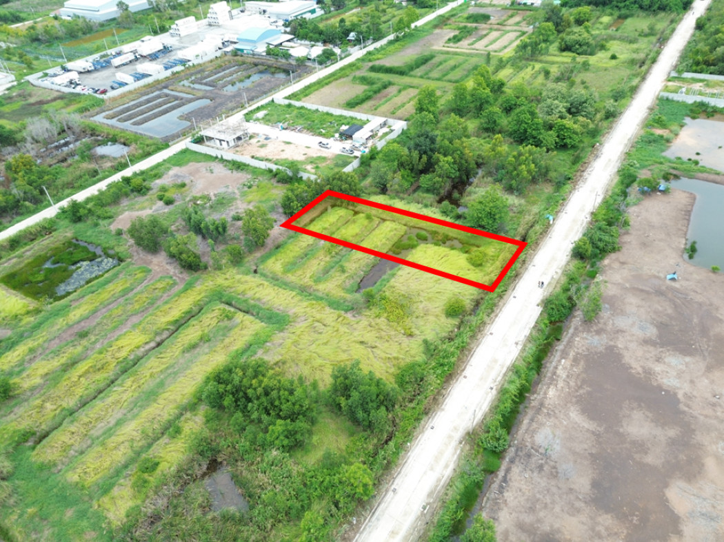 Land for sale in Soi Ayara 34, Khlong Luang, 400 sq.wa. Only 3.5 km from Phahonyothin Road. Land for sale in Soi Ayara 34, Khlong Luang, 400 sq.wa. Only 3.5 km from Phahonyothin Road.