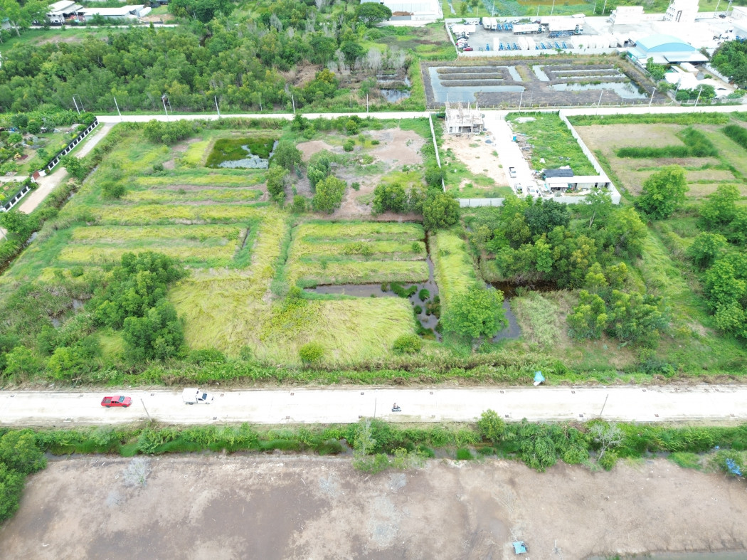 Land for sale in Soi Ayara 34, Khlong Luang, 400 sq.wa. Only 3.5 km from Phahonyothin Road. – รูปที่ 4