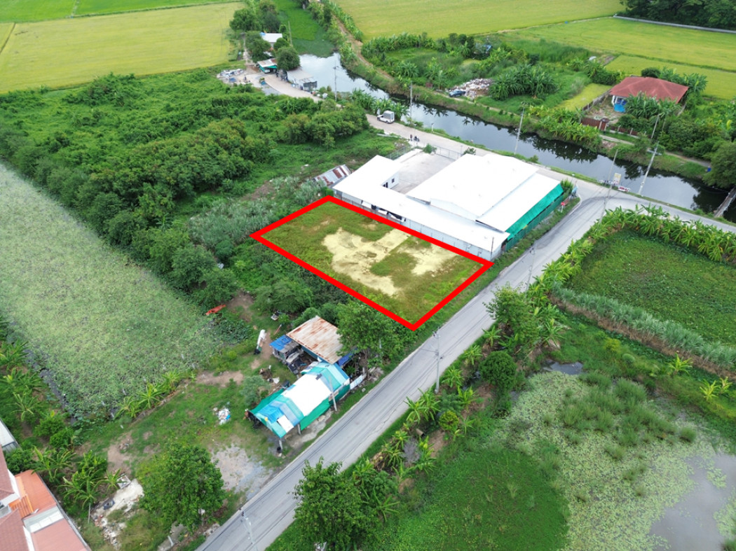 ขาย ที่ดิน ซอย หมู่บ้านบัวทอง 4 ขนาด 300 ตรว ใกล้ถนนวัดลาดปลาดุก แค่ 1.8 กม DD
