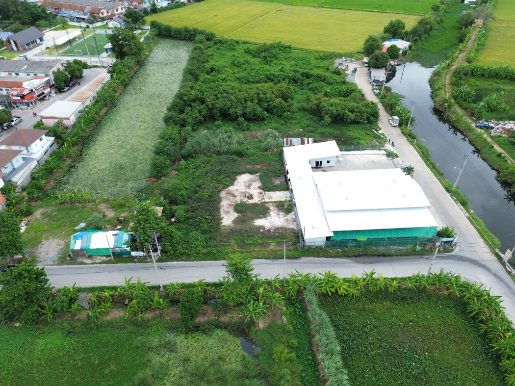 ขาย ที่ดิน ซอย หมู่บ้านบัวทอง 4 ขนาด 300 ตรว ใกล้ถนนวัดลาดปลาดุก แค่ 1.8 กม DD – รูปที่ 4