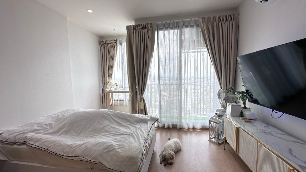Maru ekkamai🐶🐱 Pet friendly Urgent sale!