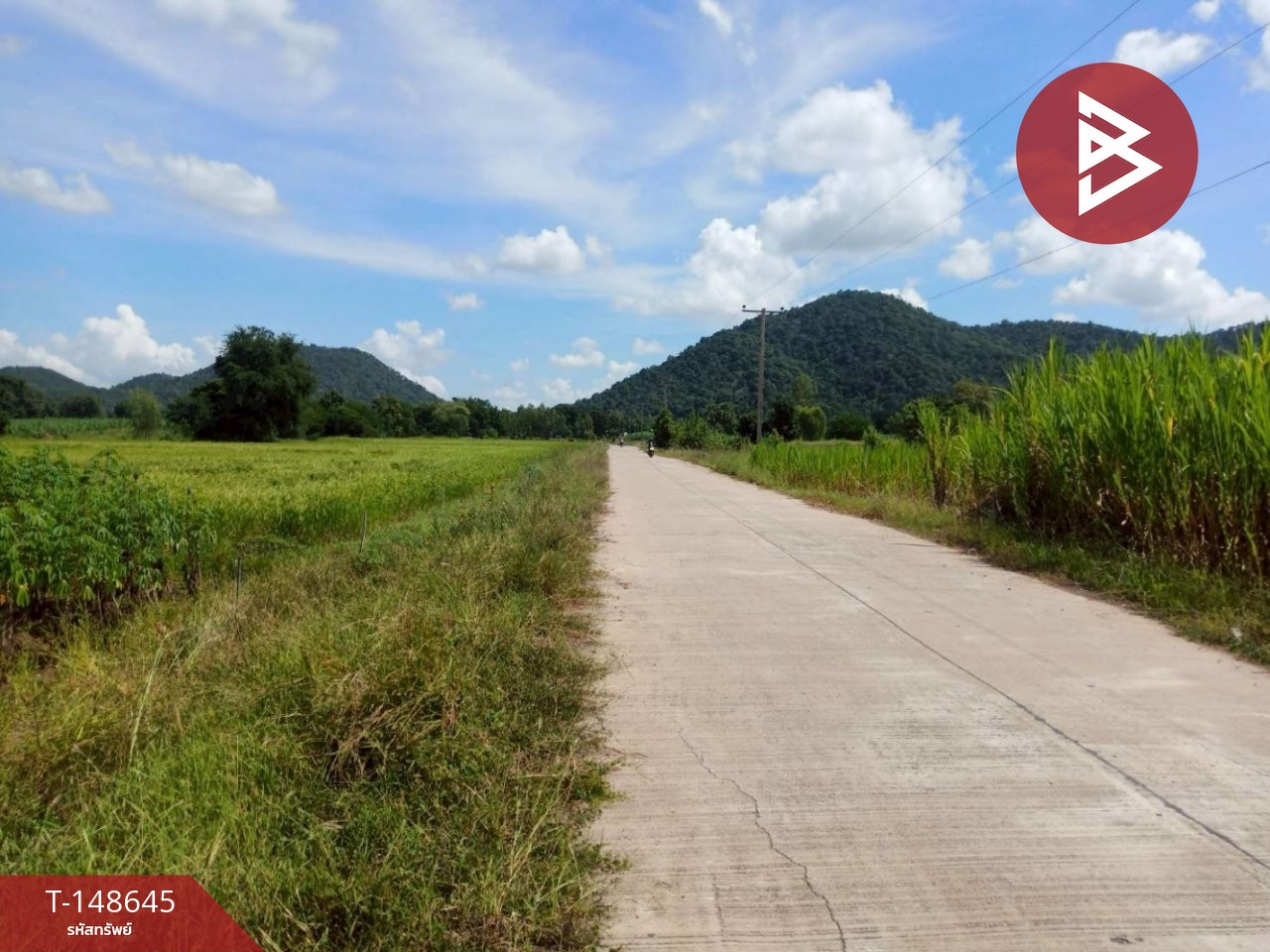 ขายที่ดิน เนื้อที่ 5 ไร่ 75 ตร.วา พยุหะคีรี นครสวรรค์ – รูปที่ 2