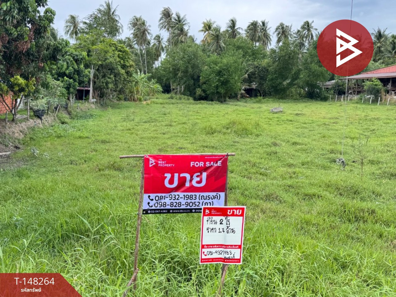 ขายที่ดิน เนื้อที่ 2 ไร่ ทับสะแก ประจวบคีรีขันธ์ – รูปที่ 2