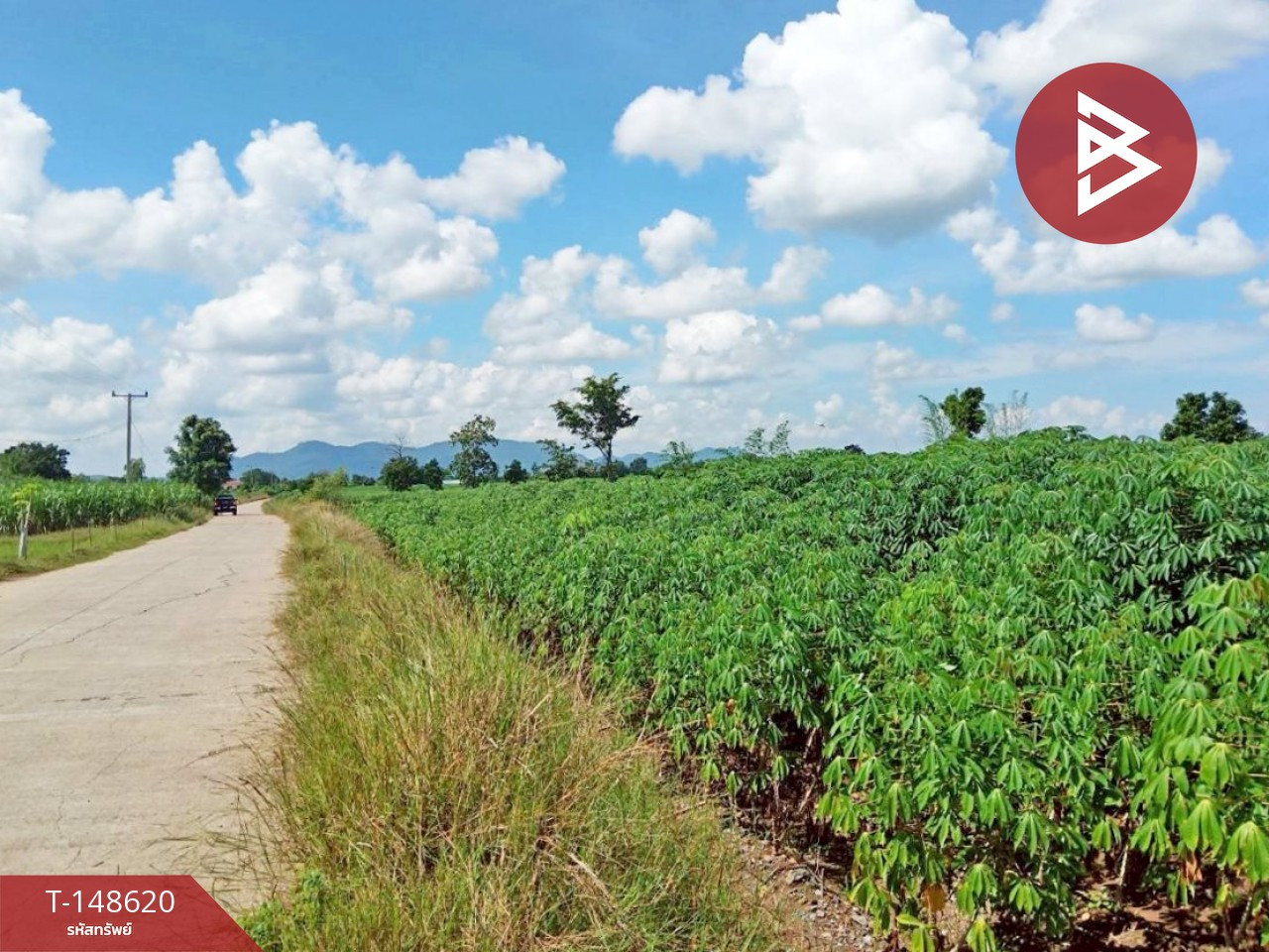 ขายที่ดิน เนื้อที่ 2 ไร่ 1 งาน 71 ตร.วา พยุหะคีรี นครสวรรค์ – รูปที่ 2