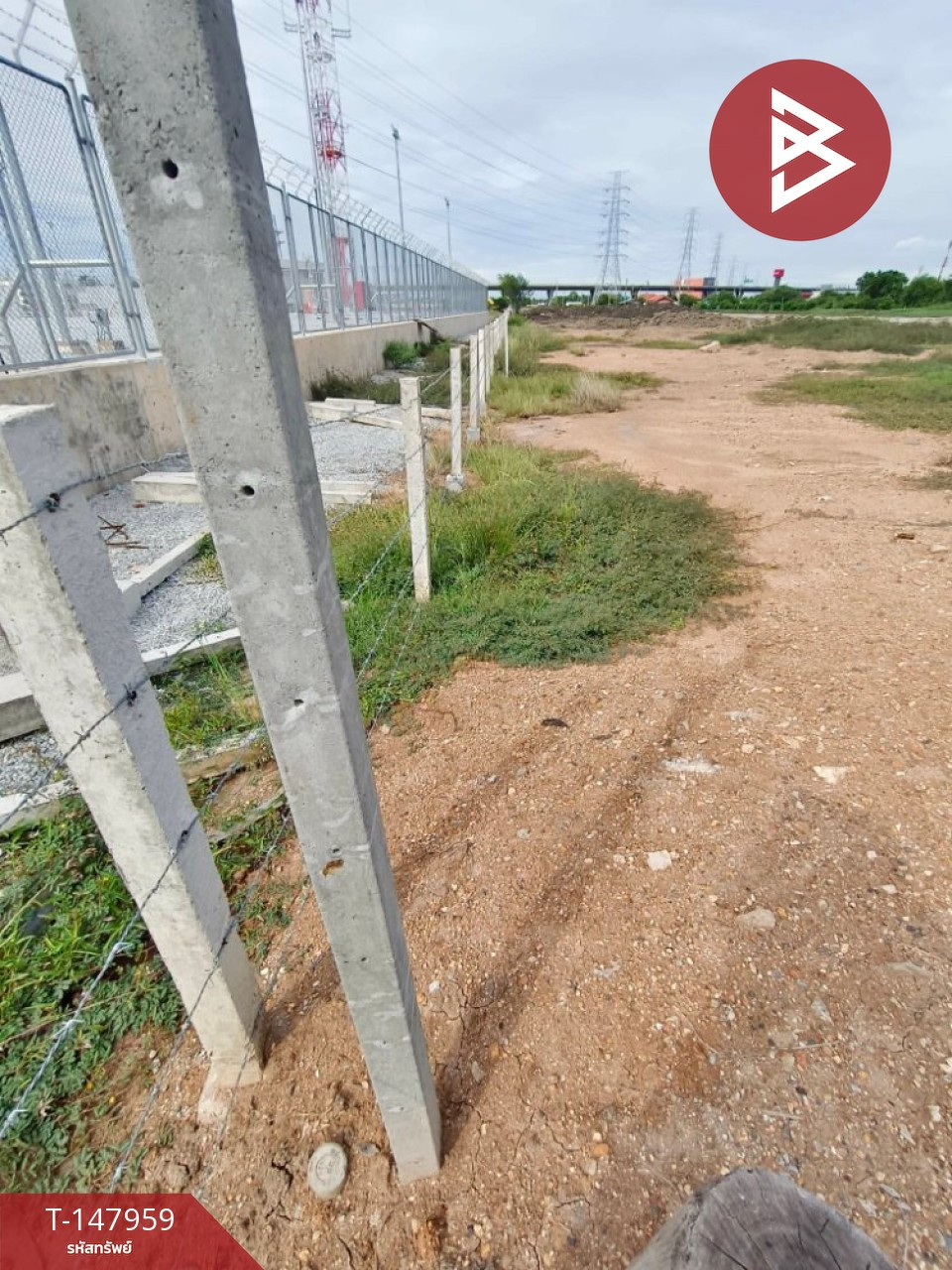 ขายที่ดิน เนื้อที่ 1 งาน 50 ตร.วา บางปะกง ฉะเชิงเทรา – รูปที่ 3