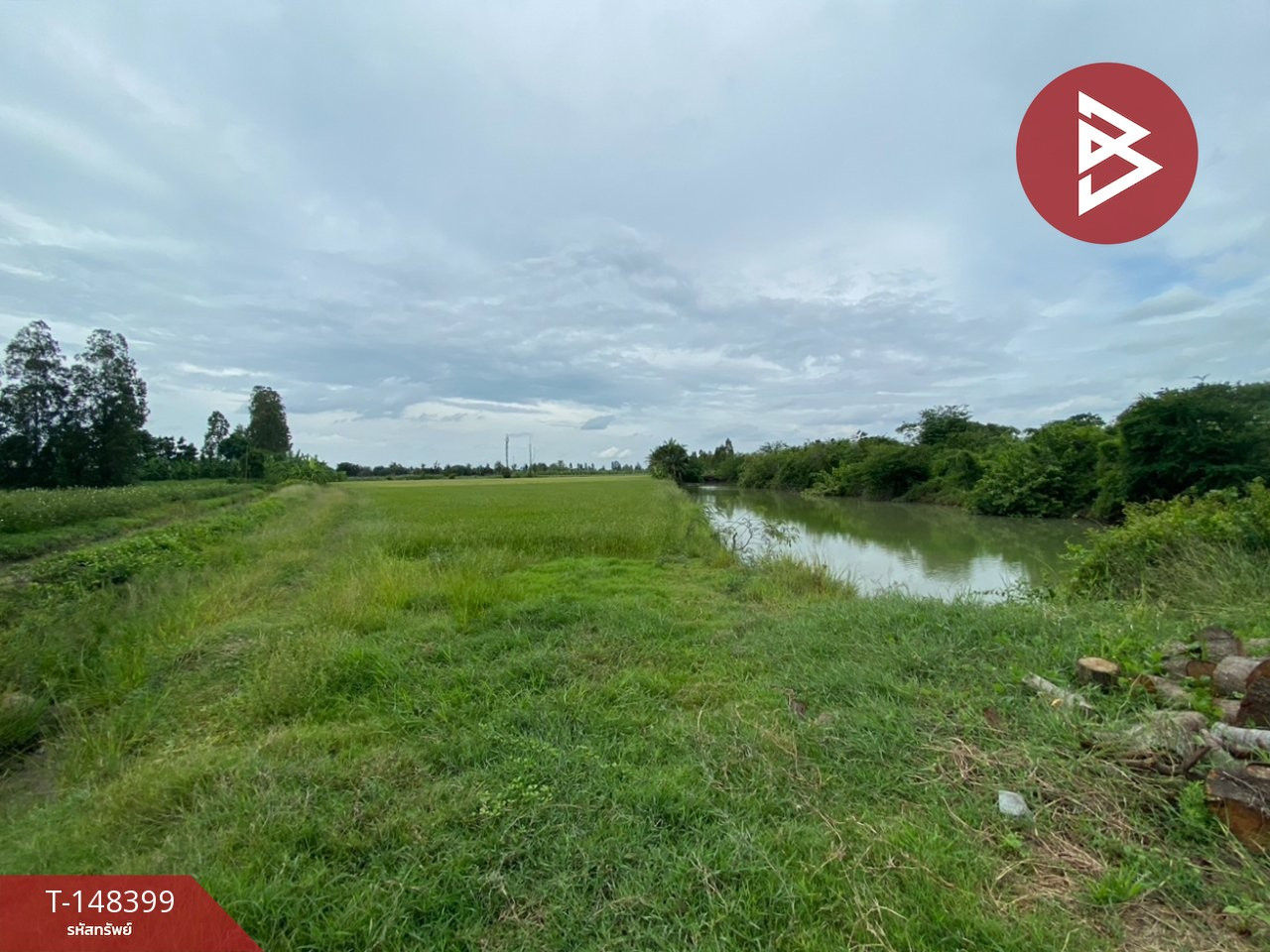 Land for sale, area 1 rai 1 ngan 66.3 square wah, Song Phi Nong, Suphan Buri – รูปที่ 3