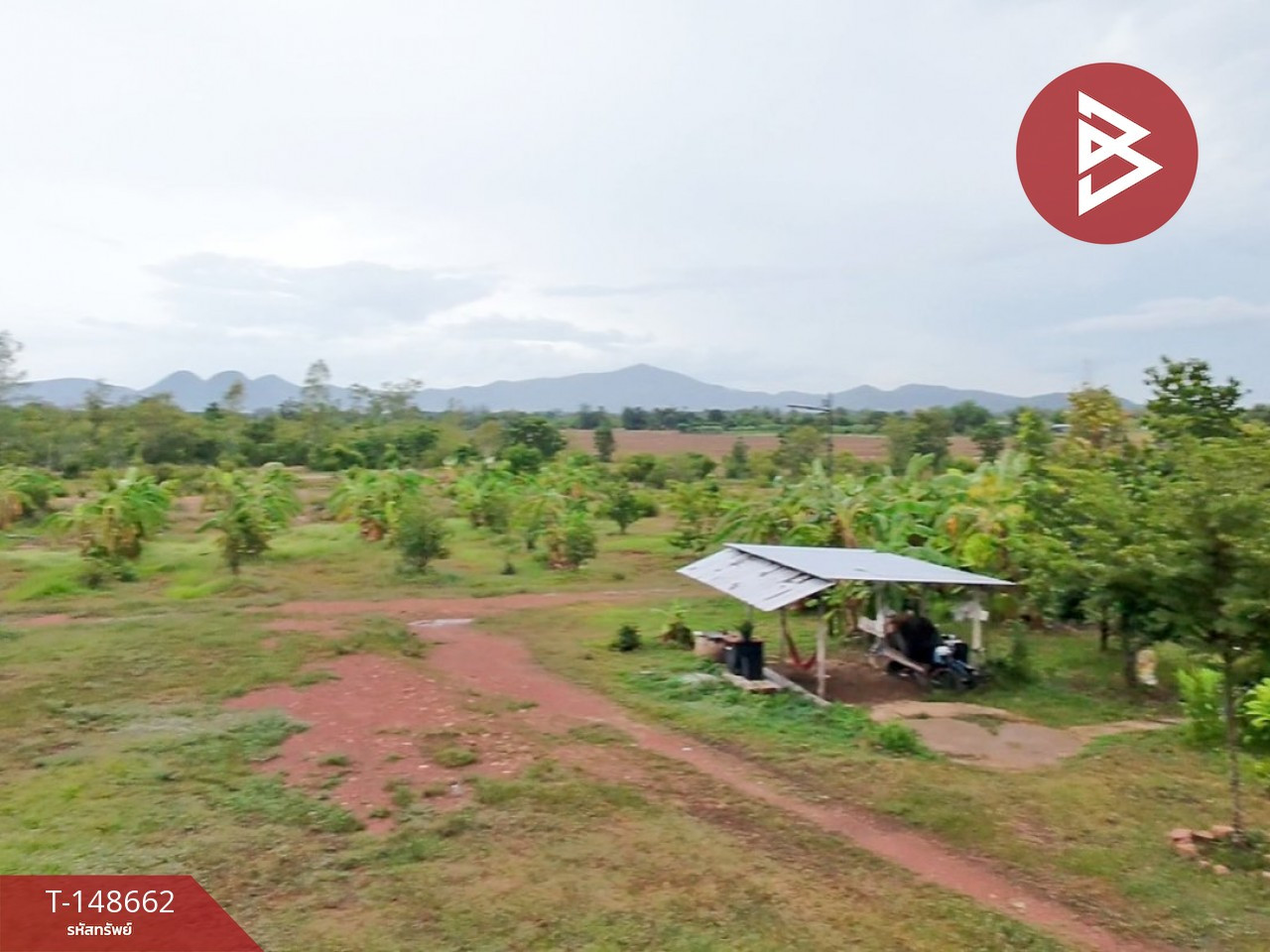 ขายที่ดิน เนื้อที่ 38 ไร่ 99.3 ตร.วา แก่งกระจาน เพชรบุรี – รูปที่ 2