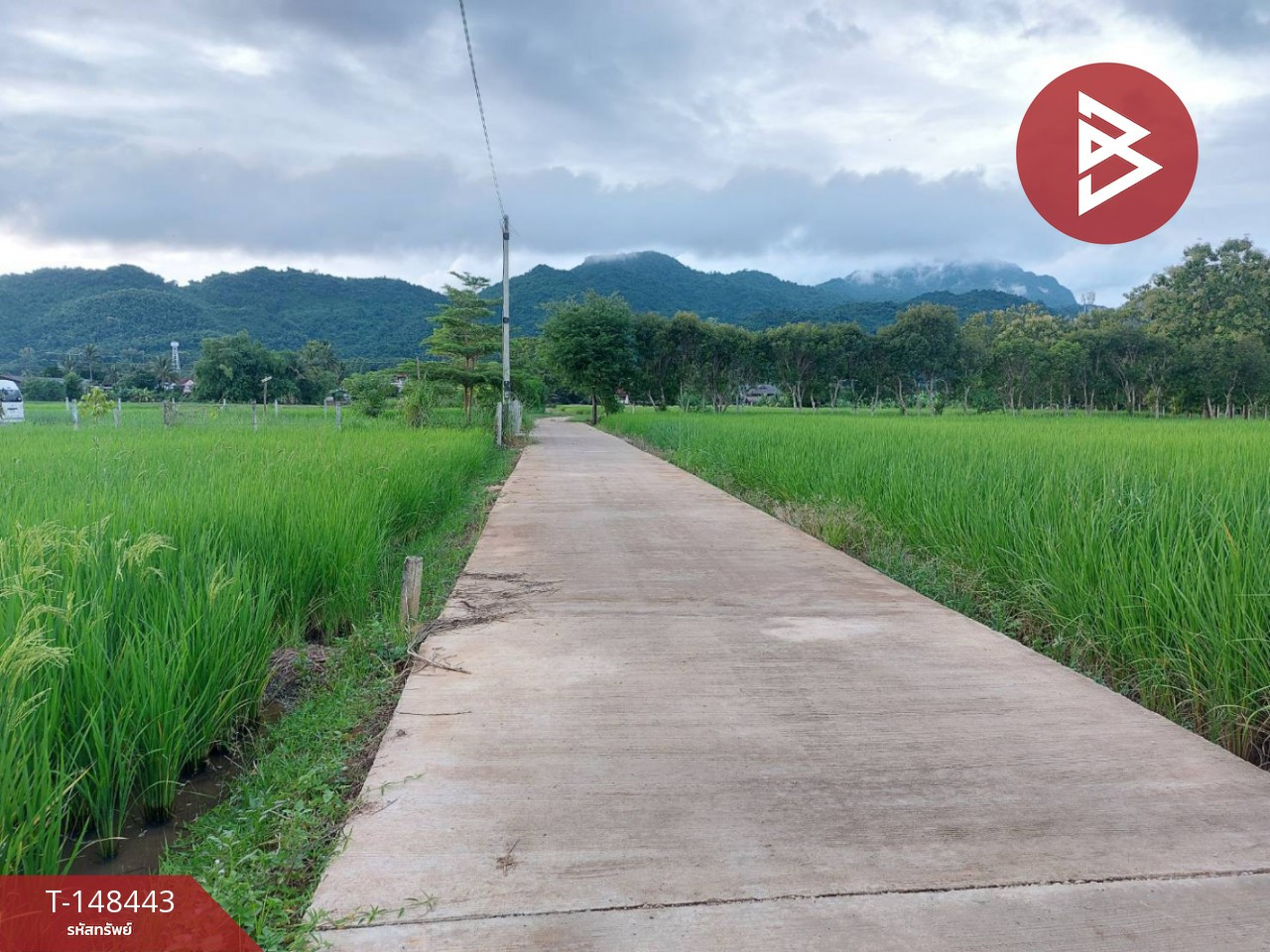 Land for sale, area 1 rai, Mae Sai, Chiang Rai – รูปที่ 3