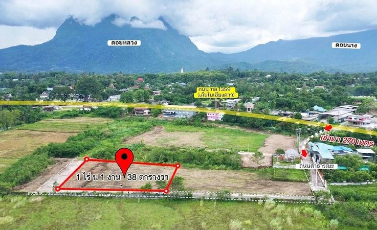 ️ Land for sale in Chiang Dao, Doi Luang view, 538 sq m, Chiang Mai-Fang Road, community area, no flooding, urgent 1,890,000 baht (free transfer)