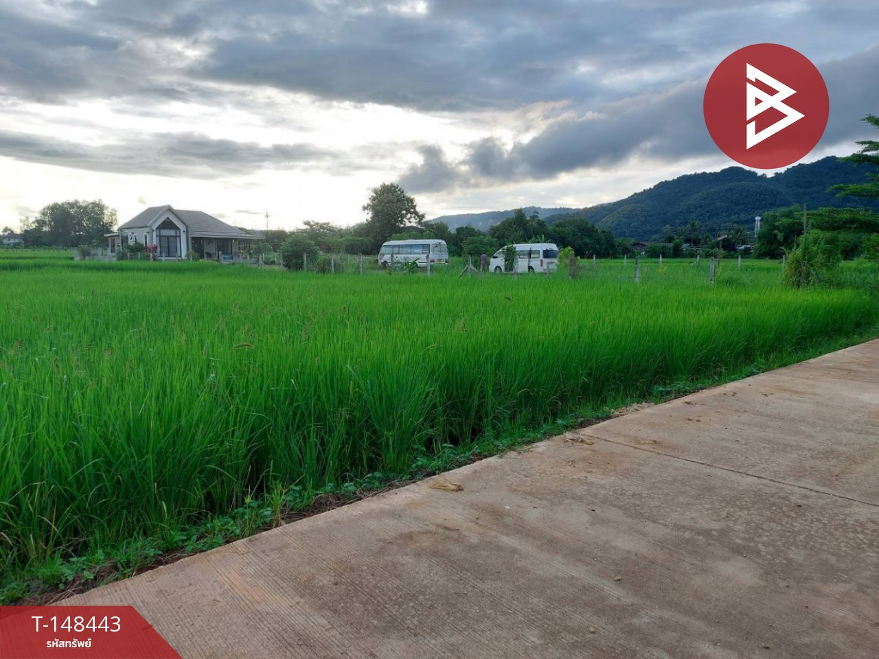 Land for sale, area 1 rai, Mae Sai, Chiang Rai – รูปที่ 4