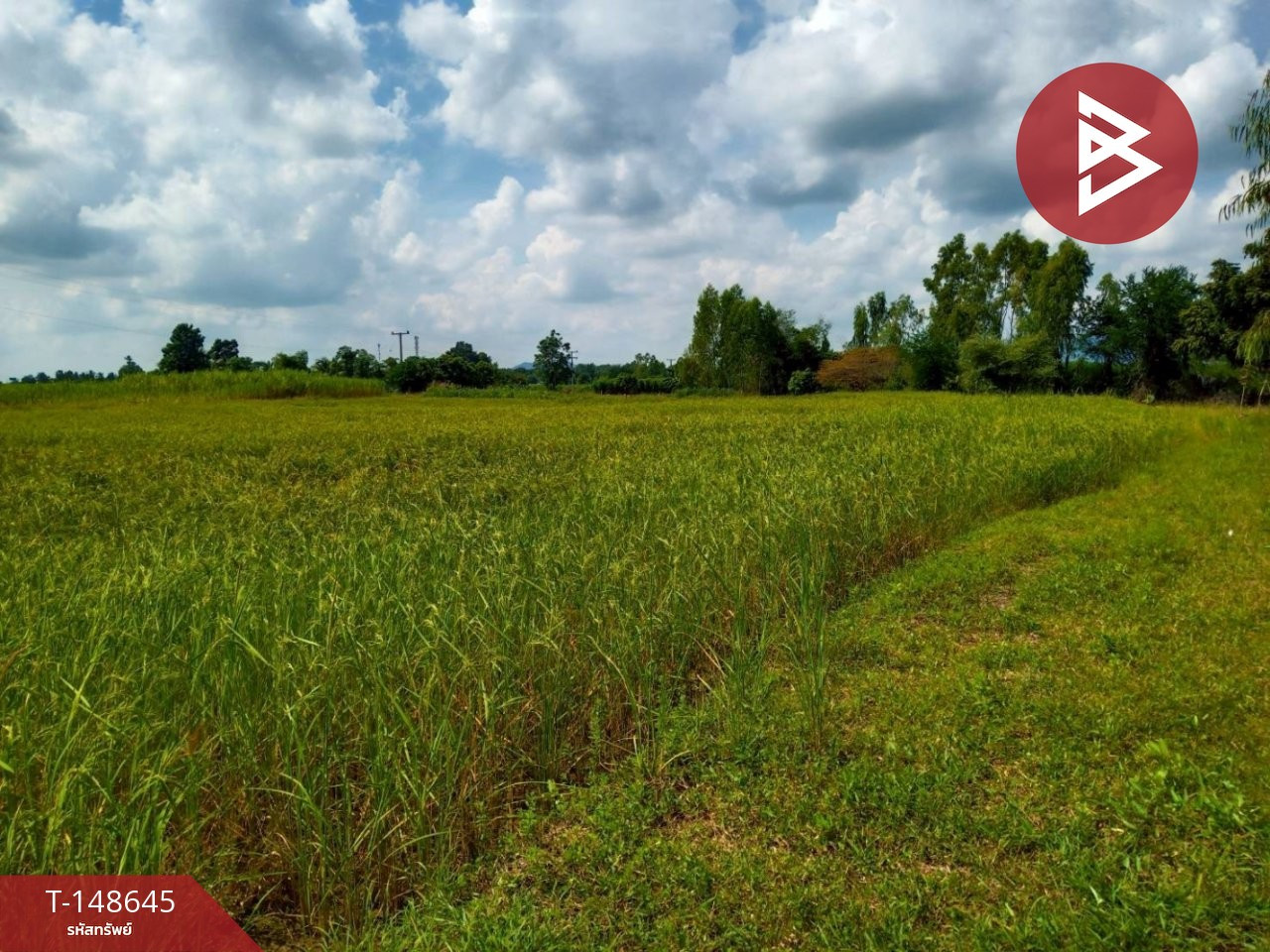 ขายที่ดิน เนื้อที่ 5 ไร่ 75 ตร.วา พยุหะคีรี นครสวรรค์ – รูปที่ 4