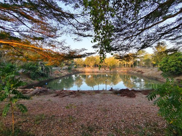 🌿 Land for Rent with Pond, Total Area 4 Rai💛🧡💚 Line ID: @mynewhome 💛🧡💚