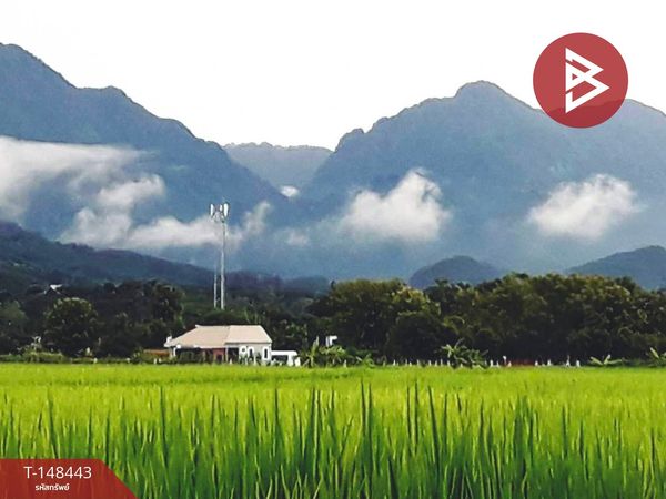 Land for sale, area 1 rai, Mae Sai, Chiang Rai