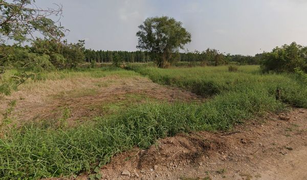 ขาย ที่ดินสวย ทำเลดี ใกล้สนามกอล์ฟ คลองหลวง ปทุมธานี 