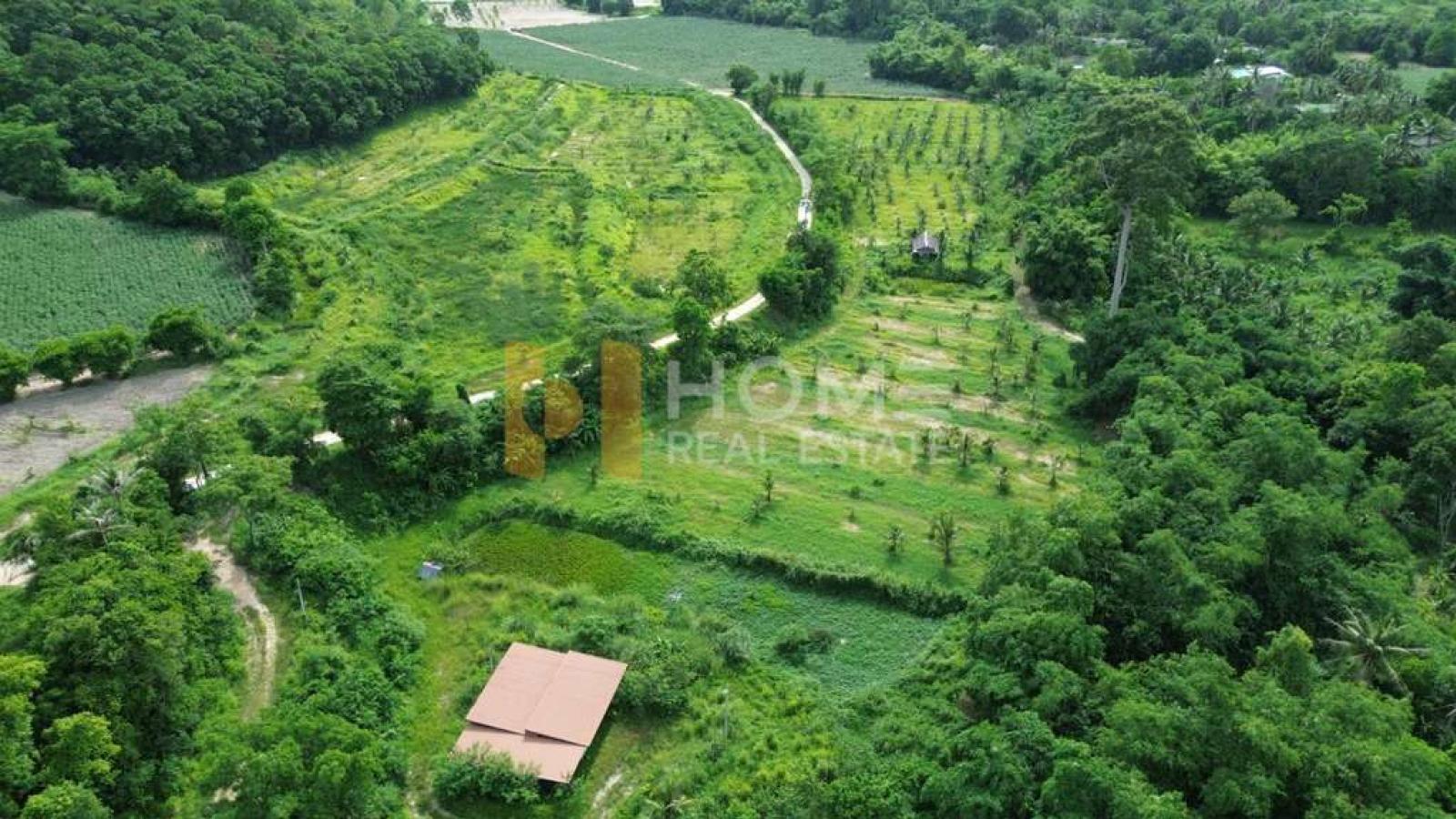 🔥 Large plot of land next to a big stream with mountain views ✨ 78 Rai of land in Khao Khiao, Bang Phra / 78 Rai (FOR RENT) YEAN251