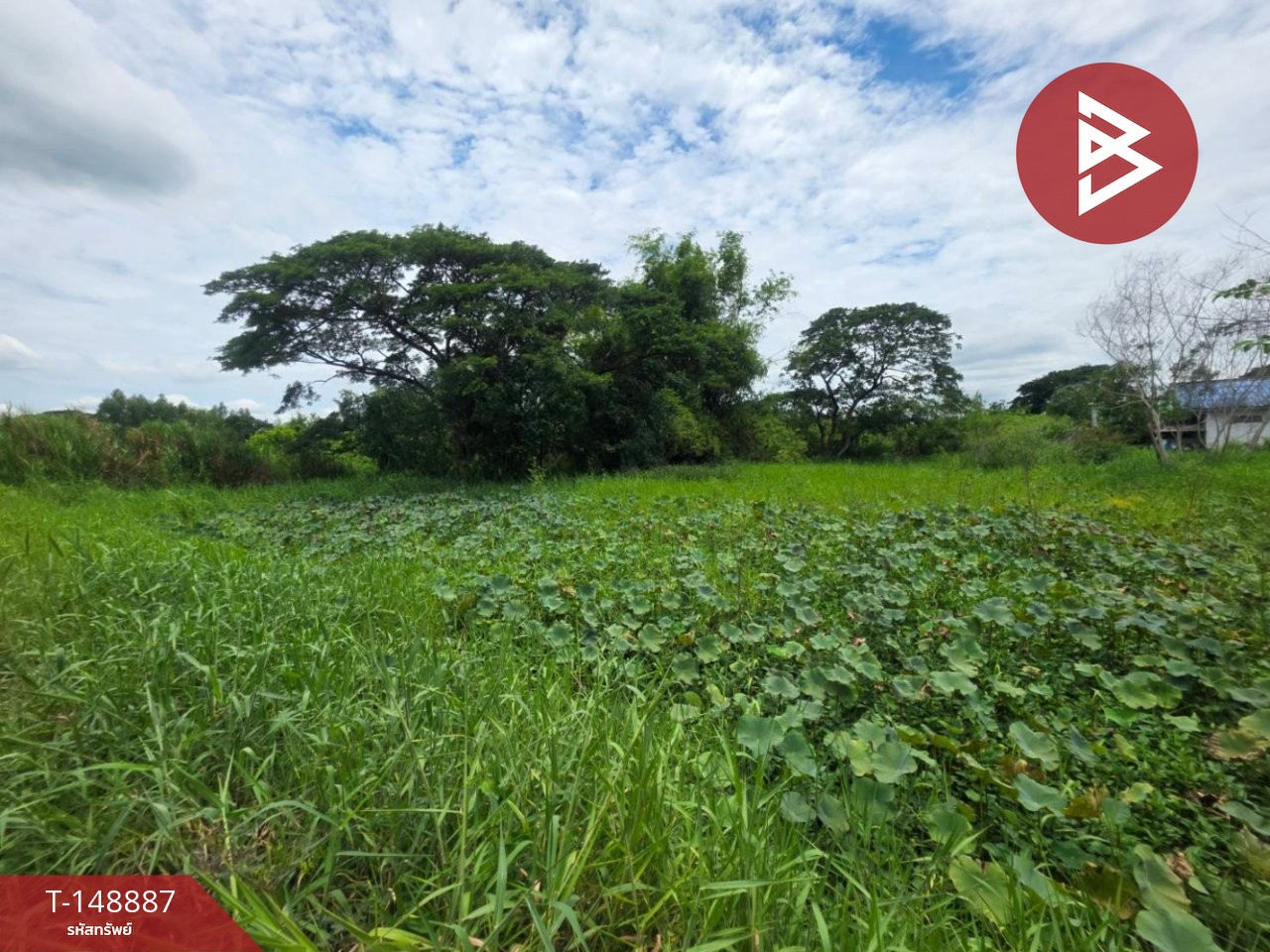 Land for sale, area 1 rai, Sai Noi, Nonthaburi – รูปที่ 2
