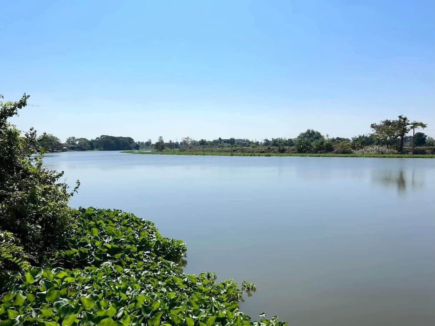 ขายที่ดินริมน้ำนครชัยศรี บางเลน วิวคุ้งน้ำสวย เหมาะสร้างบ้านหรือคาเฟ่ริมน้ำ ขายที่ดินริมน้ำนครชัยศรี บางเลน วิวคุ้งน้ำสวย เหมาะสร้างบ้านหรือคาเฟ่ริมน้ำ