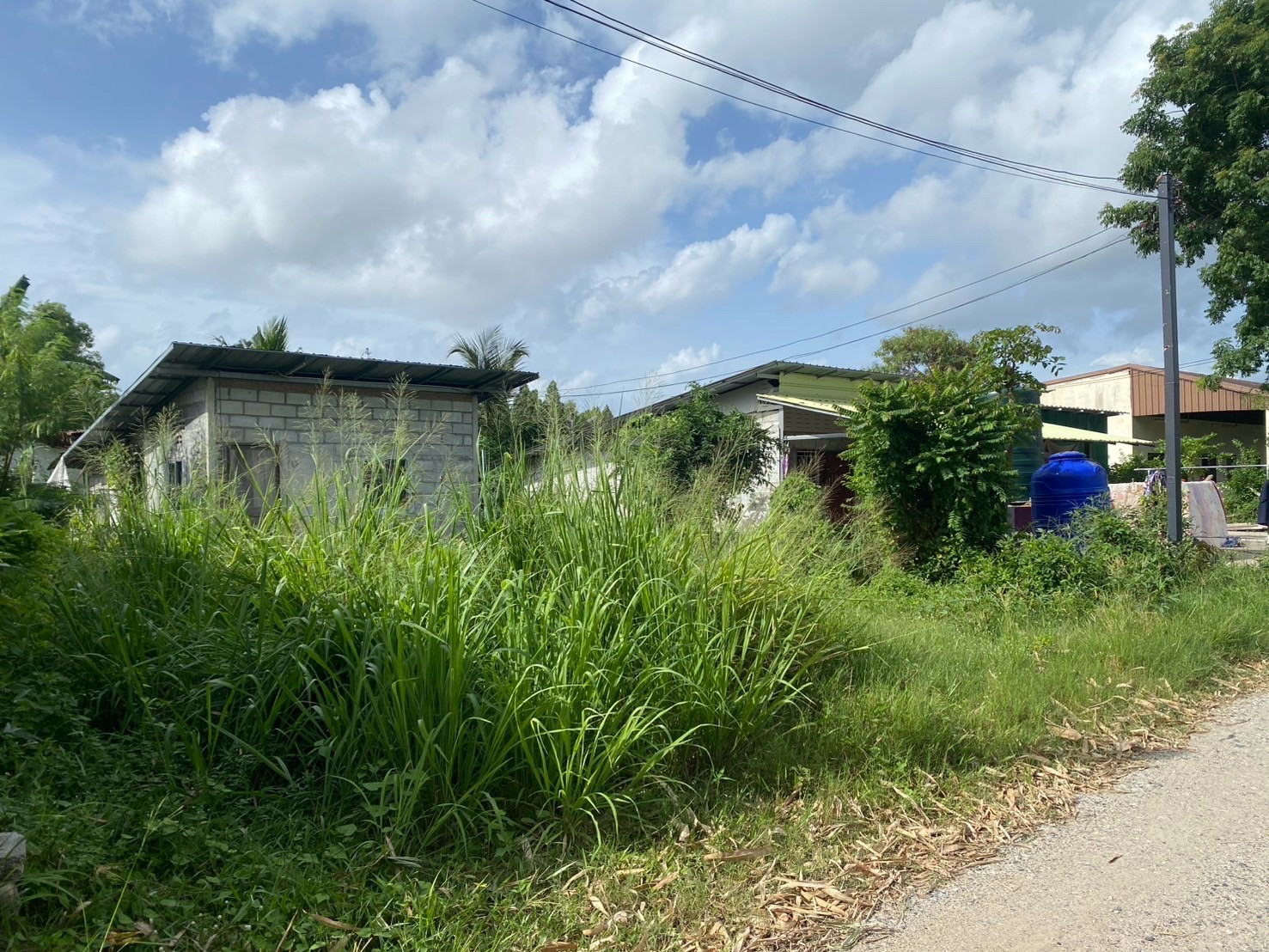 Urgent sale! Land, good location land in a community area (Huai Pong Subdistrict, Mueang Rayong), 2 plots for sale, size 88+88 = 176 sq m. – รูปที่ 3