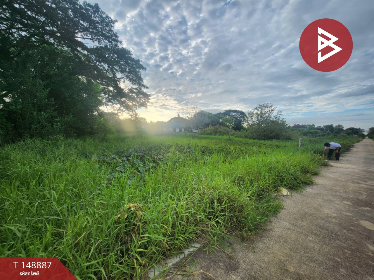 Land for sale, area 1 rai, Sai Noi, Nonthaburi – รูปที่ 4