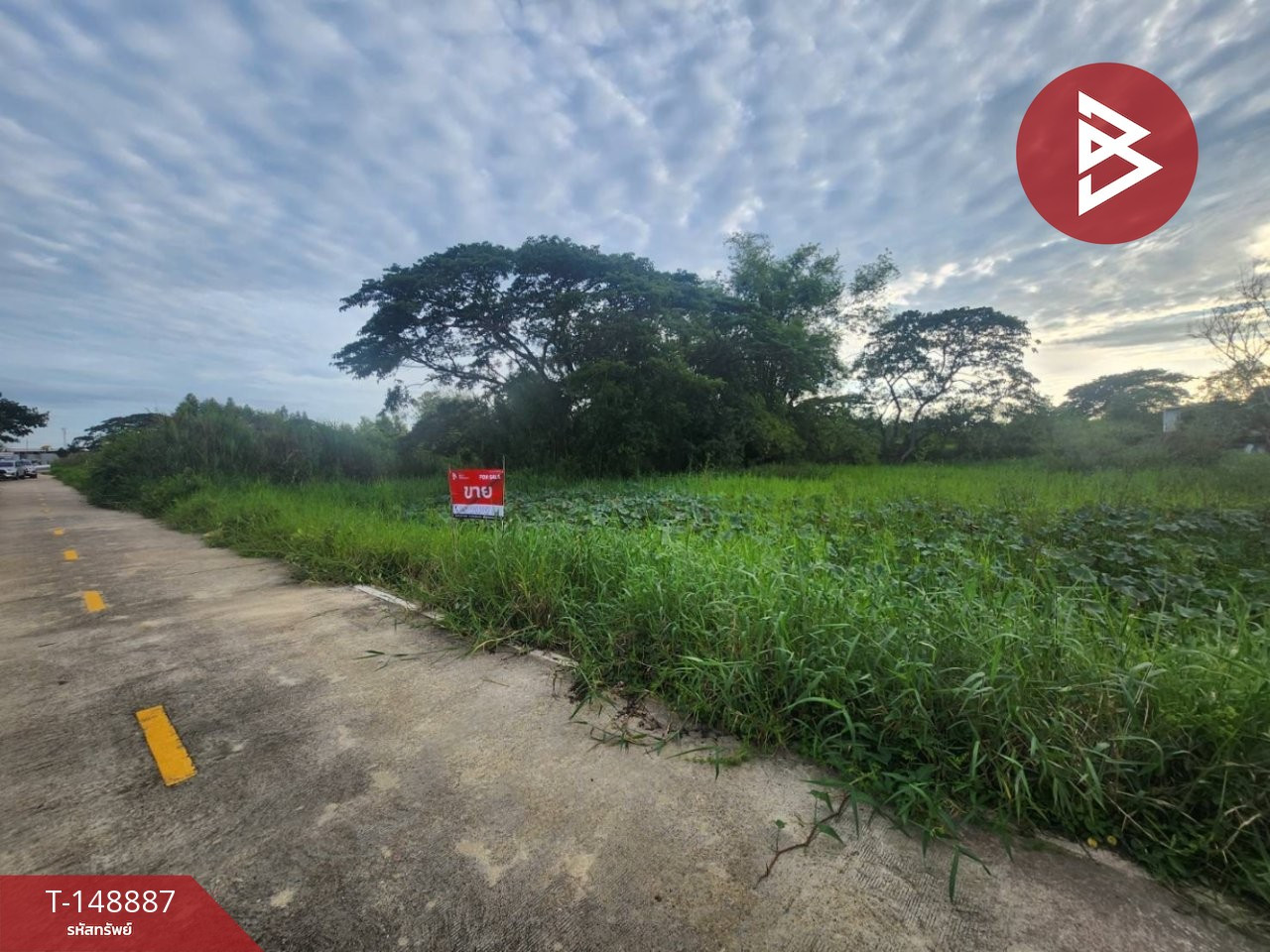 Land for sale, area 1 rai, Sai Noi, Nonthaburi – รูปที่ 3