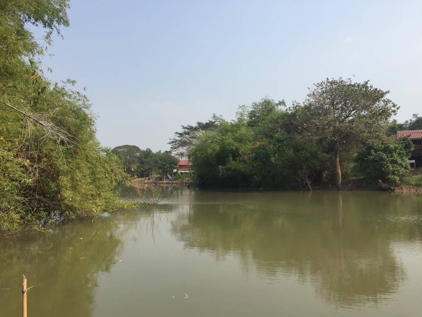 Rare Large Riverside Land for Sale in Sena, Ayutthaya with 37-Metre Noi River Frontage Rare Large Riverside Land for Sale in Sena, Ayutthaya with 37-Metre Noi River Frontage