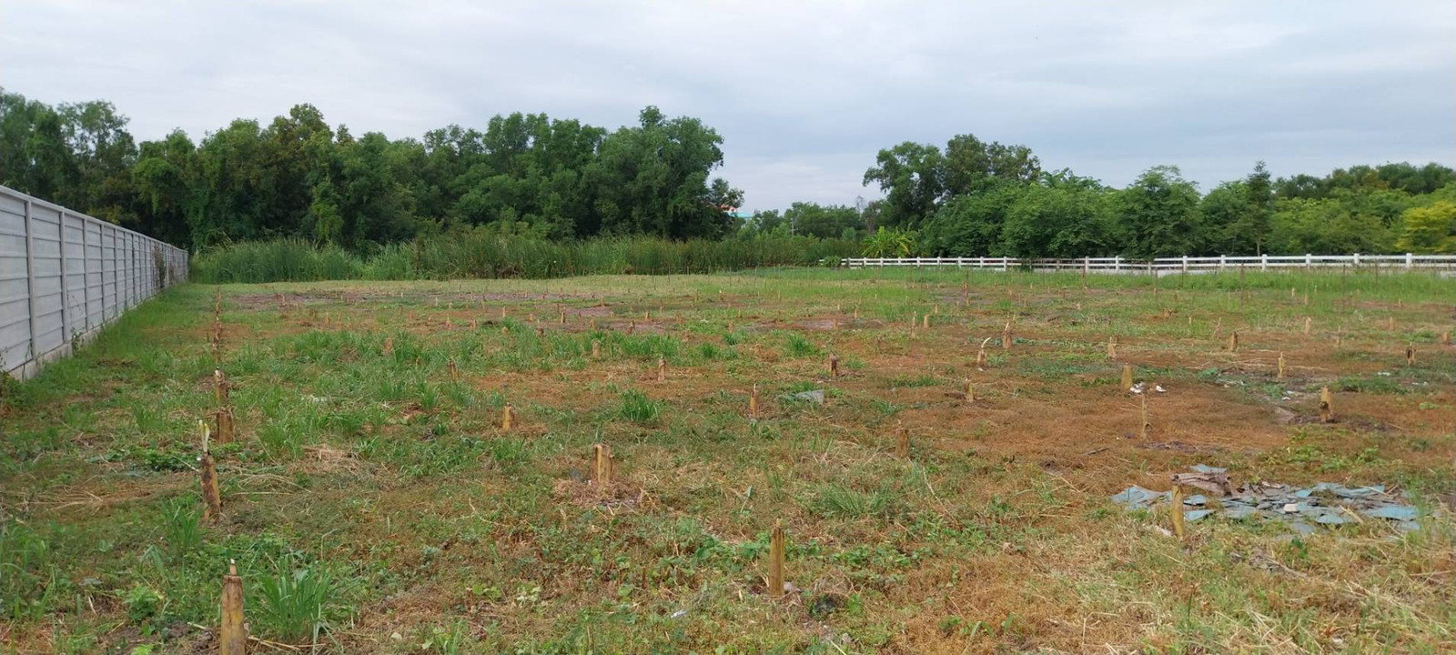 Empty land for sale, filled in with title deed, size 575 sq m., next to a canal, near the main road, prime location 
