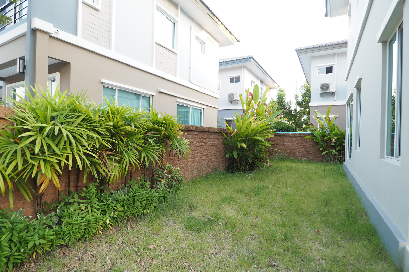 2-story detached house for rent Near Bangkok University, The Plant, Phahonyothin Rangsit, Soi White House. – รูปที่ 3