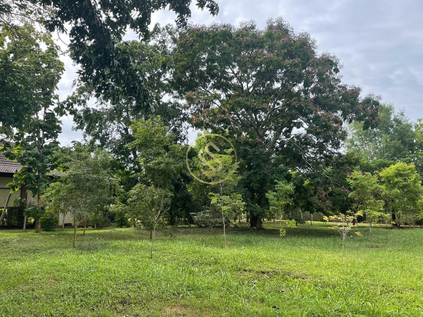 Land for sale in Pak Chong, 426 square wah, Phutawan Project, Pak Chong District, Nakhon Ratchasima Province, no flooding, safe, good weather all year round. Land for sale in Pak Chong, 426 square wah, Phutawan Project, Pak Chong District, Nakhon Ratchasima Province, no flooding, safe, good weather all year round.