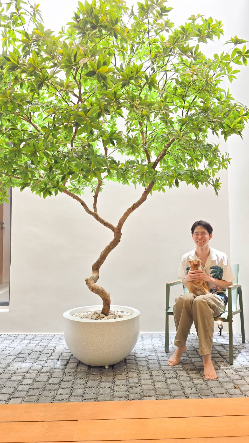 🏡 Smaland 24 บ้านใหม่ชั้นเดียว นวมินทร์ 24 | Pet-Friendly 🐾 มีสวนกลางบ้าน 74 ตร.ว. – รูปที่ 2