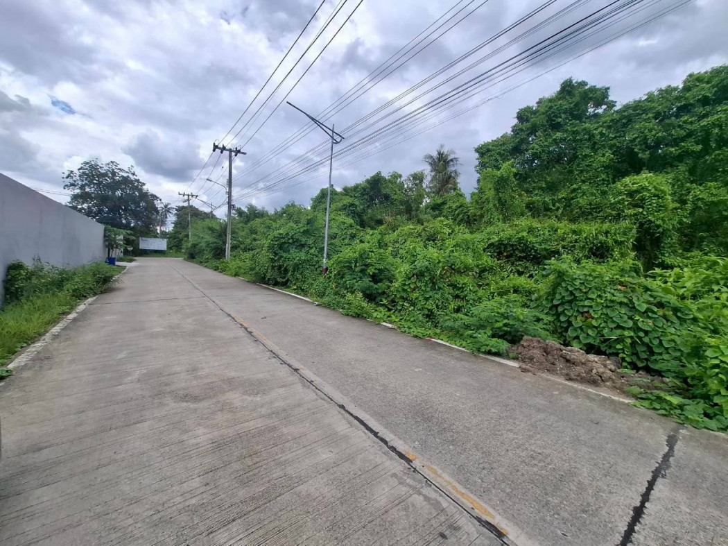 ขาย ที่ดิน ซอยบางกร่าง 45-1 อ.เมืองนนทบุรี 113 ตรว ใกล้ถ.บางกรวย - ไทรน้อยแค่ 1.1 กม. – รูปที่ 2
