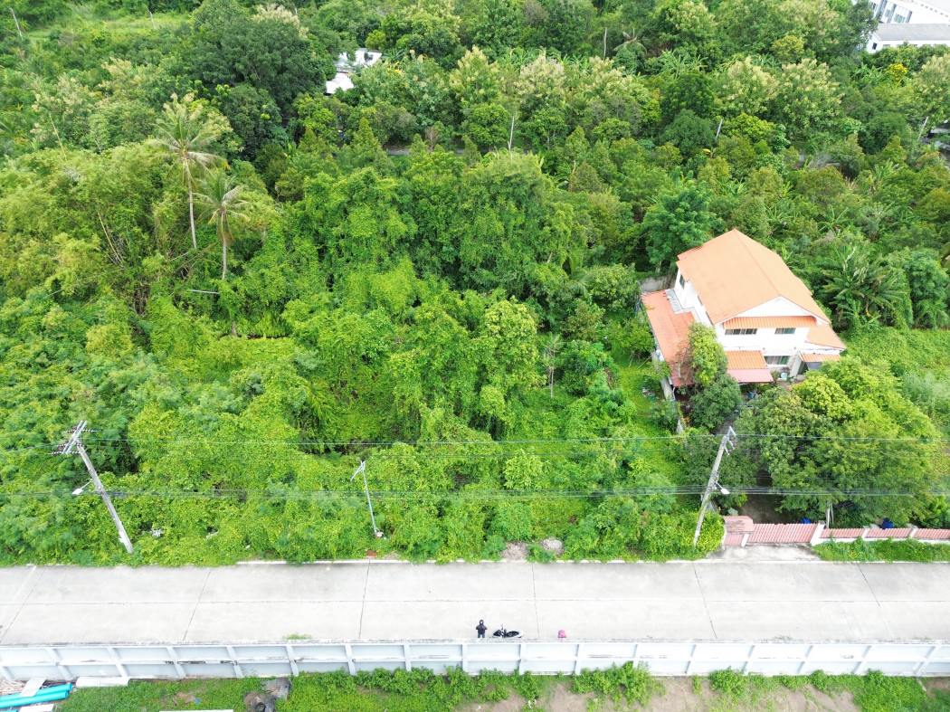 ขาย ที่ดิน ซอยบางกร่าง 45-1 อ.เมืองนนทบุรี 113 ตรว ใกล้ถ.บางกรวย - ไทรน้อยแค่ 1.1 กม. – รูปที่ 4