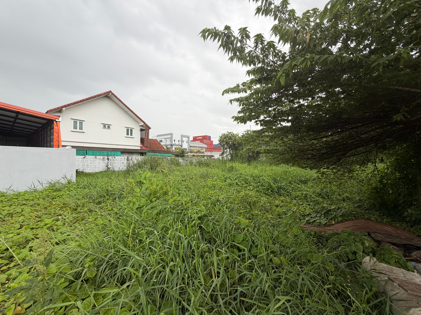 ที่ดิน บางปลา-เทพารักษ์ 310 ตารางวา / 310 ตร.วา (ขาย), Land plot in Bang Pla-Theparak, 310 square wah. / 310 Square Wa (FOR SALE) DA153 ที่ดิน บางปลา-เทพารักษ์ 310 ตารางวา / 310 ตร.วา (ขาย), Land plot in Bang Pla-Theparak, 310 square wah. / 310 Square Wa (FOR SALE) DA153