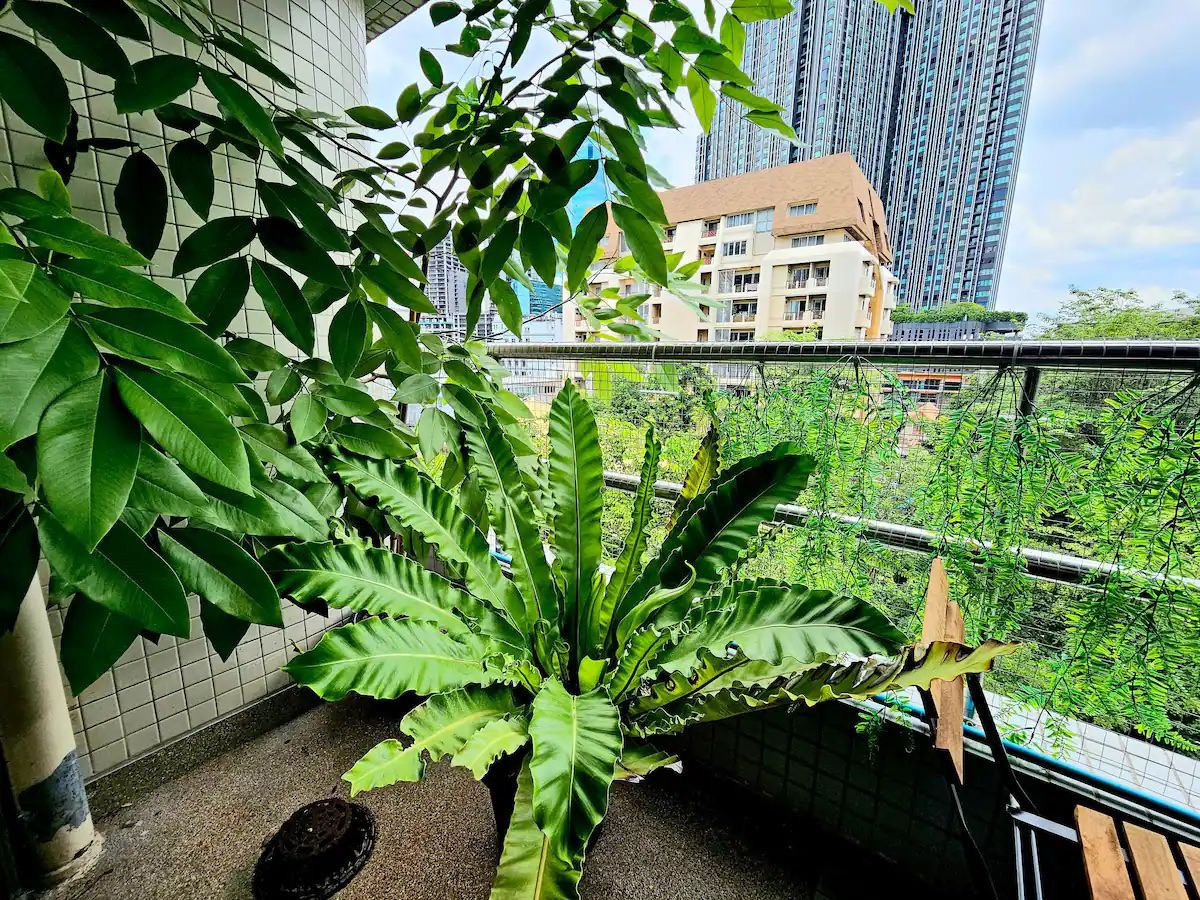 Pet Friendly 3 Beds for rent at Ploenchit – รูปที่ 4