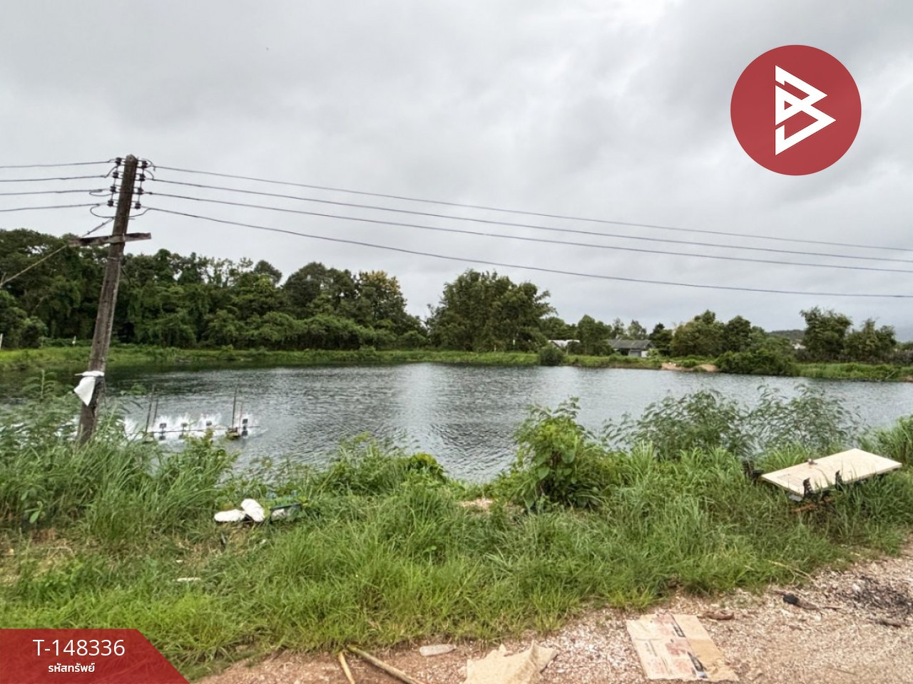 Land for sale, area 28 rai 3 ngan 90 square wah, Nong Bua, Chanthaburi.