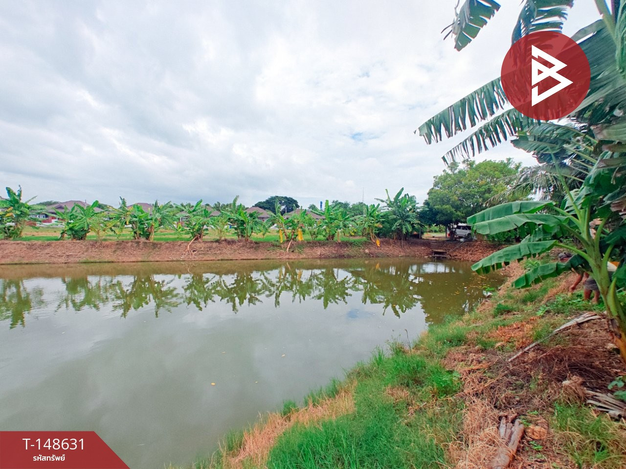 ขายที่ดิน เนื้อที่ 9 ไร่ 1 งาน 55.5 ตร.วา โพธาราม ราชบุรี – รูปที่ 4