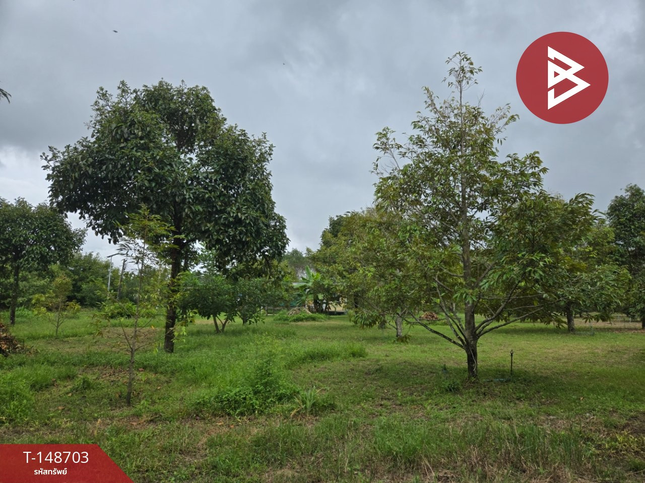 Land for sale, area 2 rai, Tha Chang, Chanthaburi.