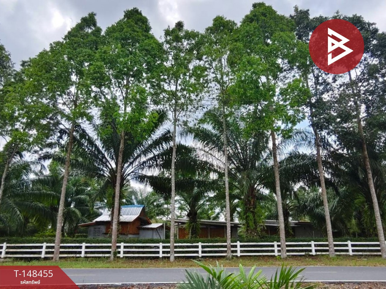 ขายที่ดินพร้อมสิ่งปลูกสร้าง เนื้อที่ 3 ไร่ 1 งาน 16 ตร.วา นาเคียน นครศรีธรรมราช – รูปที่ 3