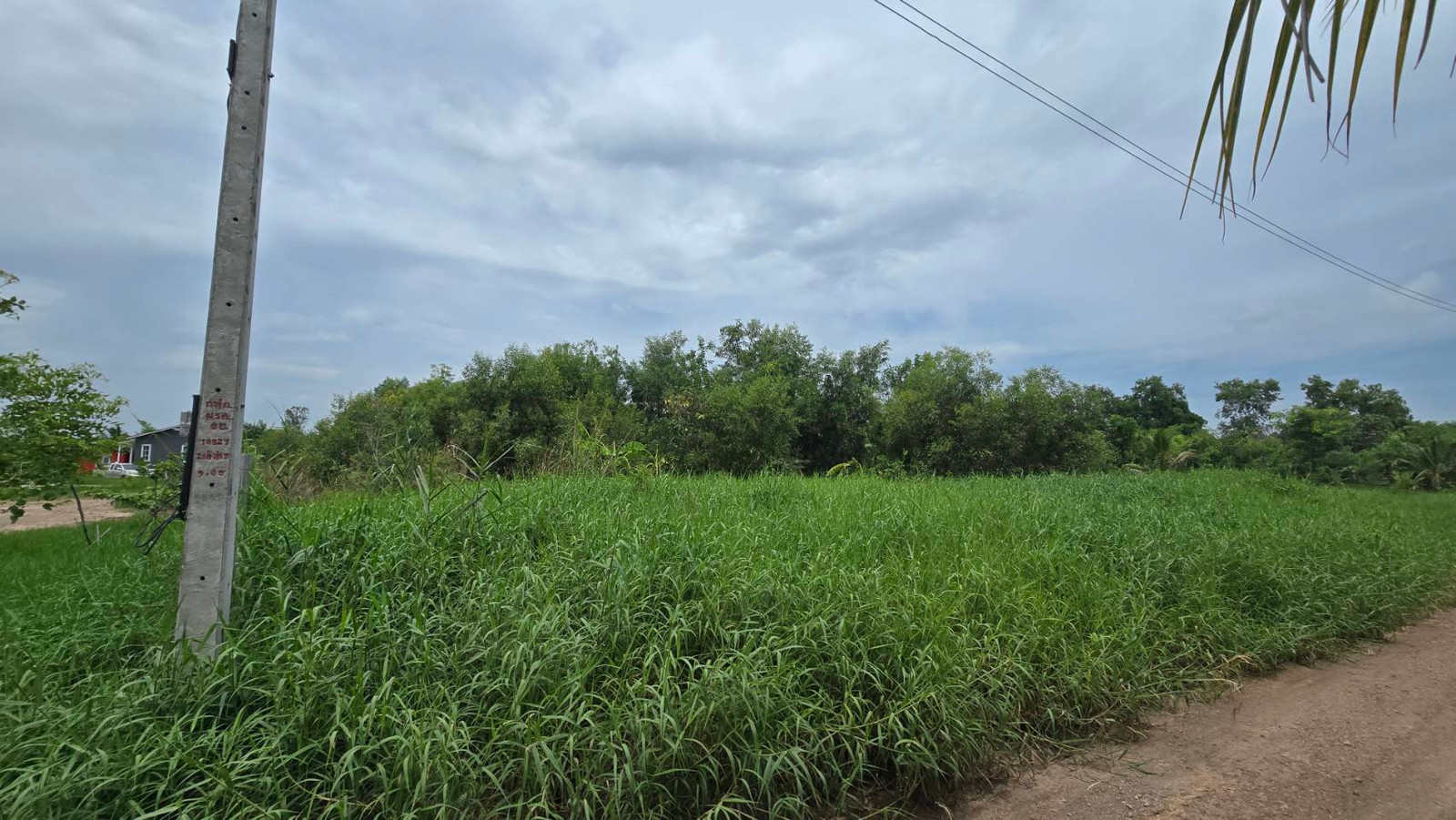 Empty land for sale, 2 rai 1 ngan 81.9 sq m, Khusalod Subdistrict, Lat Bua Luang District, Ayutthaya Province. – รูปที่ 2