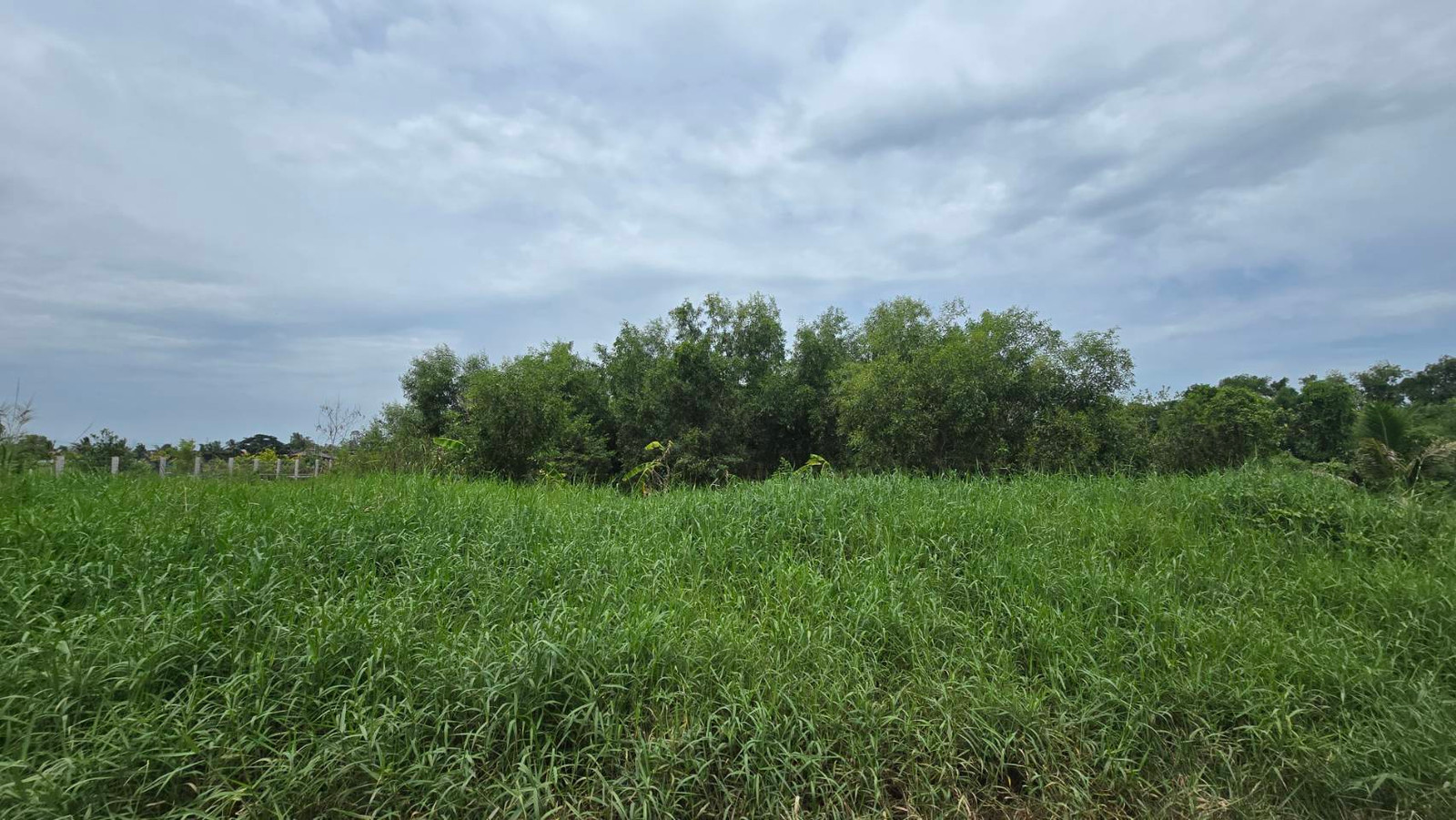 Empty land for sale, 2 rai 1 ngan 81.9 sq m, Khusalod Subdistrict, Lat Bua Luang District, Ayutthaya Province. – รูปที่ 3