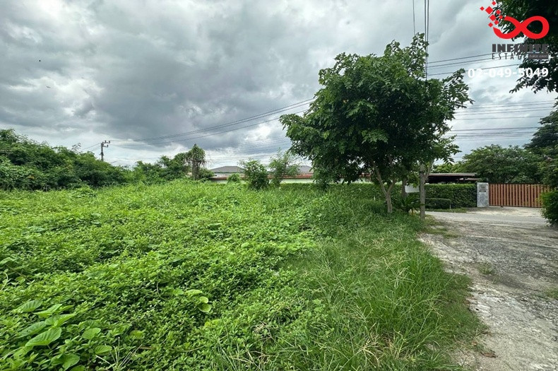 ขายที่ดิน สุขุมวิท 77 ศรีนครินทร์ ซ.อ่อนนุช 66 แปลงมุม 110 ตร.ว. เหมาะสร้างบ้าน ใกล้รถไฟฟ้าสายสีเหลือง ขายที่ดิน สุขุมวิท 77 ศรีนครินทร์ ซ.อ่อนนุช 66 แปลงมุม 110 ตร.ว. เหมาะสร้างบ้าน ใกล้รถไฟฟ้าสายสีเหลือง