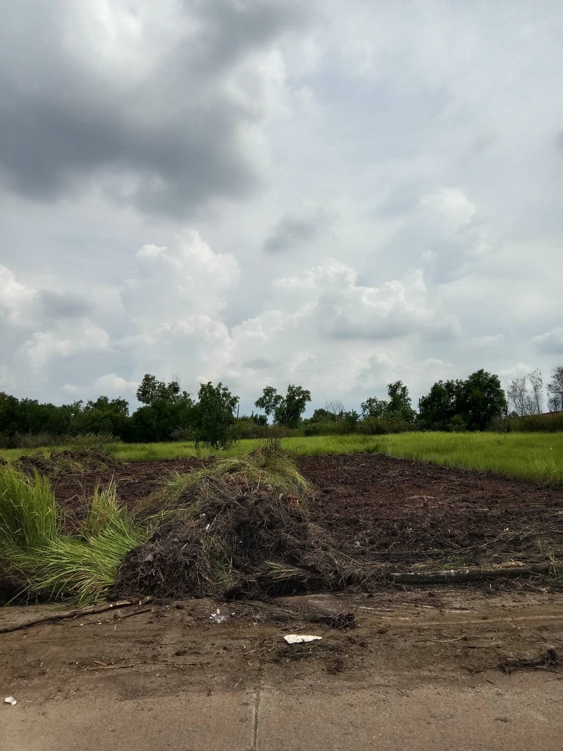 Land for sale, 2 adjacent plots, 263 sq m, Khlong 4, Khlong Luang, next to a concrete road, not yet filled in, price negotiable. – รูปที่ 4